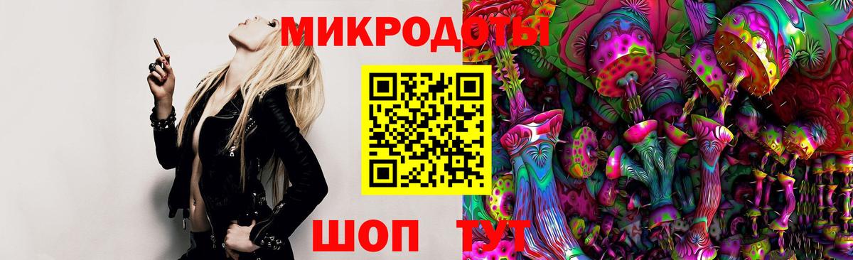 Галлюциногенные грибы Psilocybe  Вход с VPN  Псилоцибиновые грибы мухоморы  Северск 