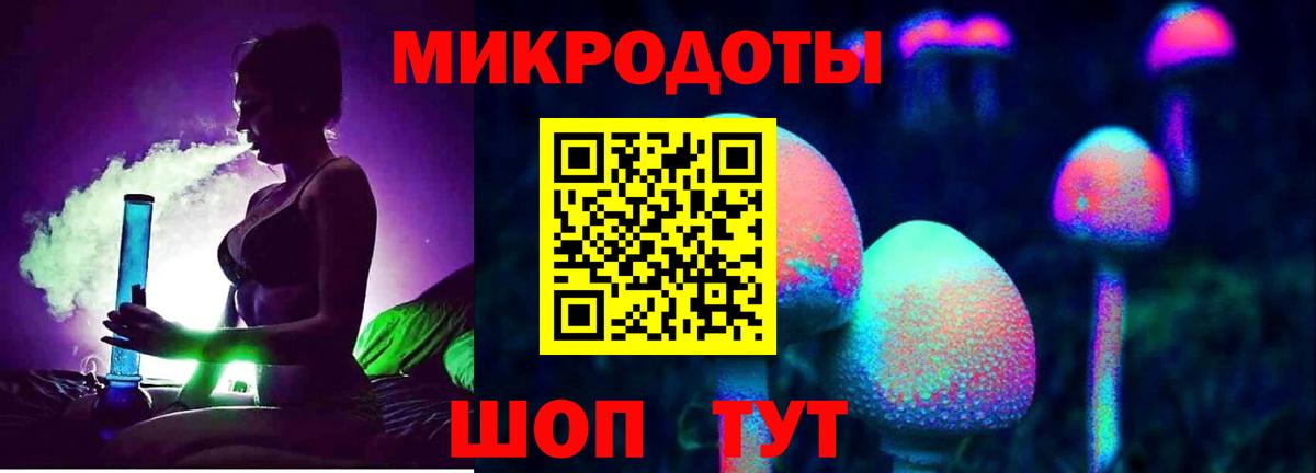 Галлюциногенные грибы Cubensis Северск